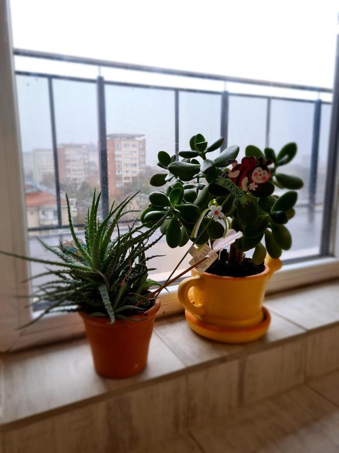 Cozy Apartment Arad Esterno foto