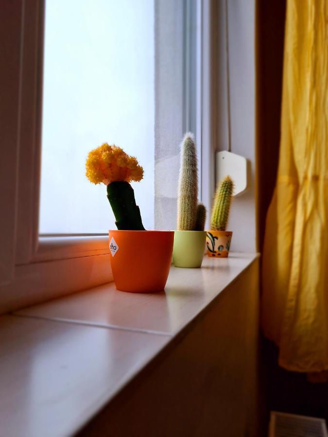 Cozy Apartment Arad Esterno foto